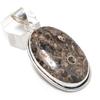 Туррителла Ископаемый Драгоценный Камень 925 Стерлинговое Серебро Ювелирная Подвеска 2.29"