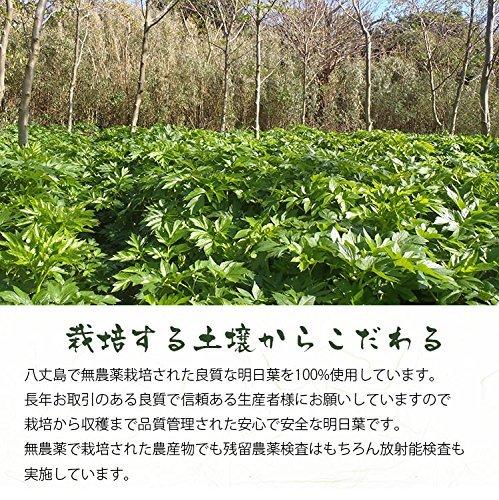 Gabai Farm Домашний чай ручной работы Ashitaba 2 г x 40 пакетиков Травяной чай Полезный чай Чайный пакетик Без кофеина Без добавок