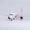 Модель самолета литая 47 см B737-800 China Eastern Airlines Yunnan Peacock Световая индикация с активацией по звуку На колесах Коллекционная игрушка