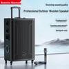 Портативная Bluetooth-колонка для караоке Newmine N538, 15 дюймов, штекер CN (адаптер в комплекте)