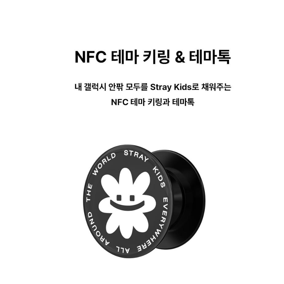 SLBS x SKZ PICK Stray Kids Accessories Edition для Galaxy Z Flip5