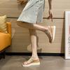 Slippers Female Summer Go Out New Summer Sexy High Heels Platform Wedge Heel Word with Transparent Slippers Outside Wear
