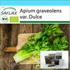 Gift Set - Organic - Pascal Celery - 500 Seeds - With Gift Box, Card, Label and Potting Substrate - Apium Graveolens
