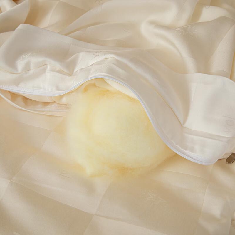 Silk Soybean Fiber Blend Lyocell All-Season Quilt