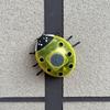 Solar Beetle Garden Light