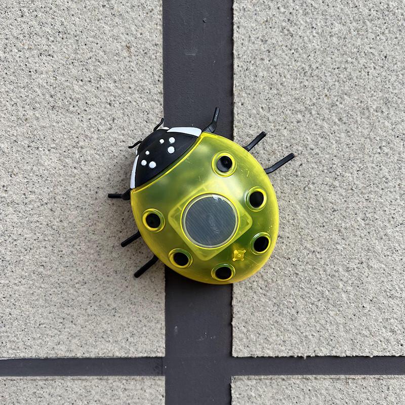 Solar Beetle Garden Light