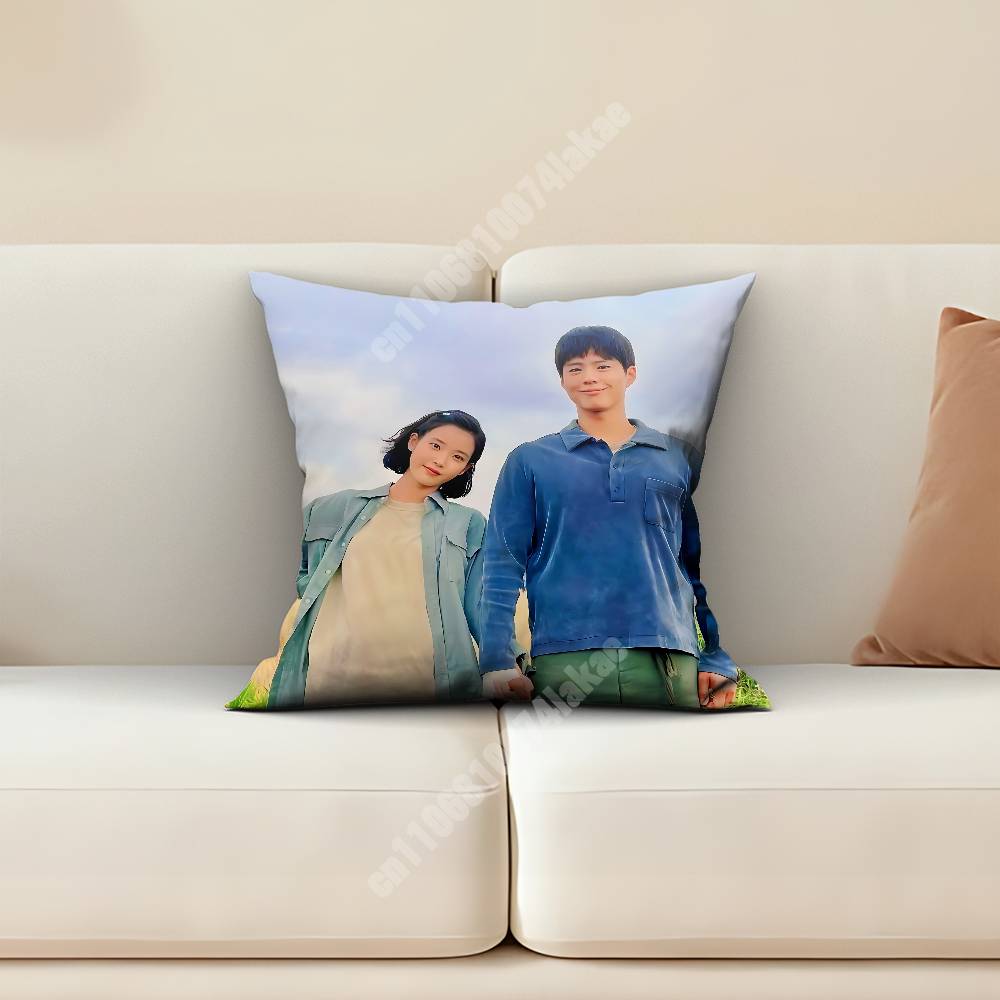 When Life Gives You Tangerines Pillow Cover Sofa Couch Cushion Case Home Living Room Decoration