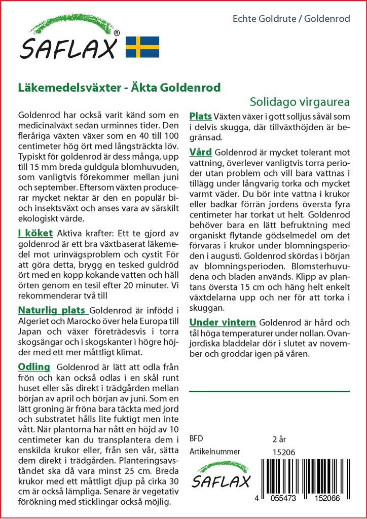 SAFLAX Garden in the Bag - Золотарник - 100 семян - С субстратом в подходящем пакете-стойке - Solidago virgaurea