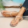 Casual Women's Shoes, Beach Sports Flat Sandals, Home Flip-flops for Outerwear