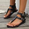 Summer New Low Heel Clip-toe Roman Women's Shoes Fashion Comfortable Belt Buckle Flat Sandals