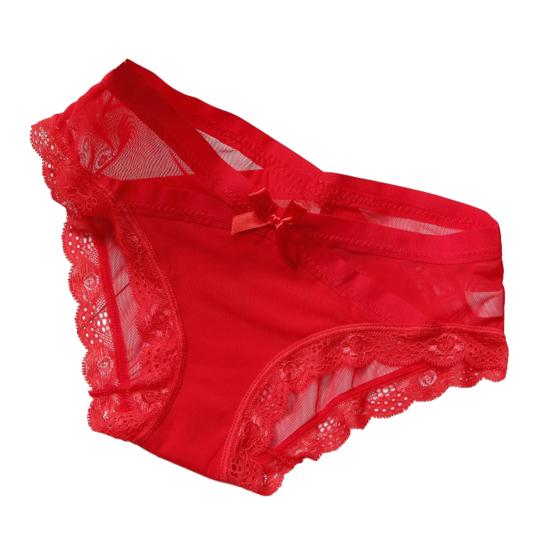 Women's Sexy Panties Lace See Through Underwear Low Rise Thin Mesh Sheer Underpants Breathable Bikini Briefs