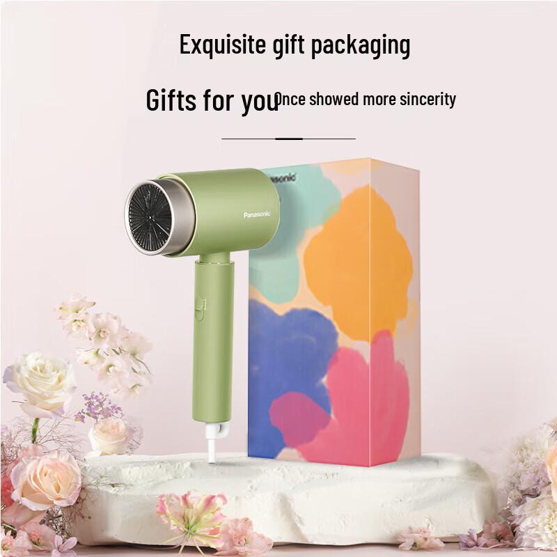 Panasonic High-Speed Ionic Hair Dryer CN plug (adapter included)