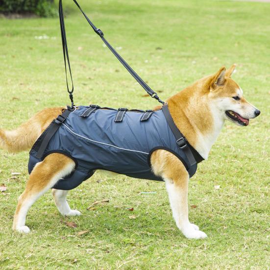 Adjustable Dog Lift Harness Comfortable Dog Lift Belt Breathable Support Sling for Old Disabled Joint Injuries Arthritis Dog Walk