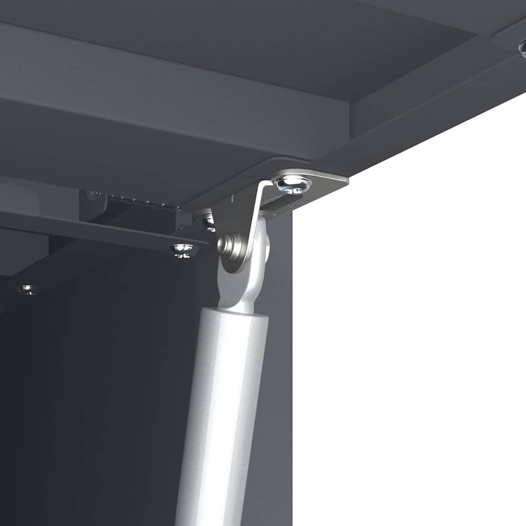Wall Mounted Garage Cabinet with Gas Spring Door Anthracite