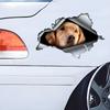 Golden Retriever 3D Vinyl Car Sticker, Fun Insurance Bumper Sticker for Cars, Trucks, Motorcycles, Walls, Windows, PVC Material
