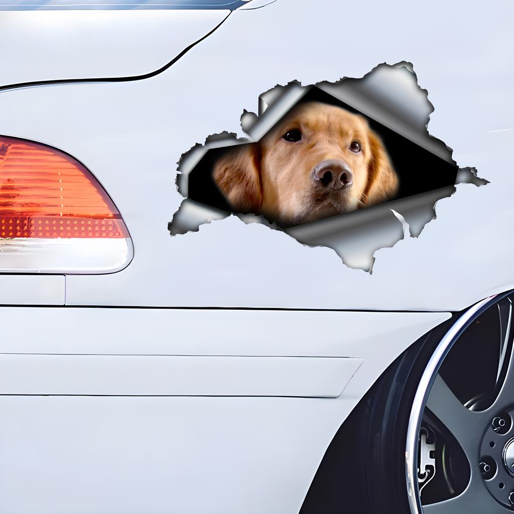 Golden Retriever 3D Vinyl Car Sticker, Fun Insurance Bumper Sticker for Cars, Trucks, Motorcycles, Walls, Windows, PVC Material