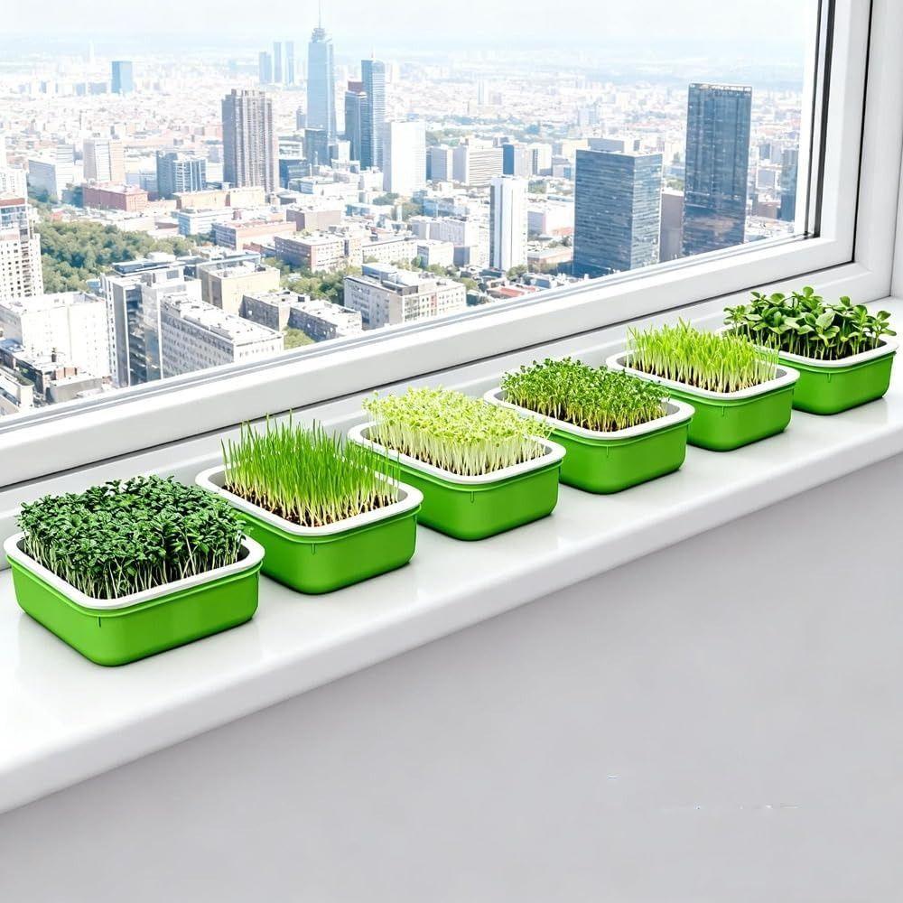 2Pcs High Ventilation Germination Tray Double Layer Grow Nursery Plate Household Cultivation