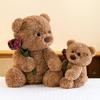 Creative Hug Bear Rose Bear Doll Cute Teddy Bear Plush Doll for Girl Birthday Gift Doll