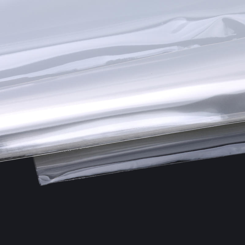 100Pcs Money Banknotes Protective Storage Bags with Box Transparent Coin Holders Album Folders