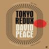 Tokyo Redux by David Author Peace Paperback Book 9780571232017