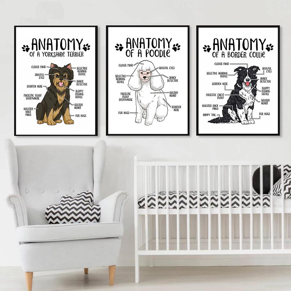 Холст с анатомией животных, постер, бордер-колли, йоркширский терьер, принт, современный зоомагазин, стена больницы