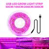 DC 5V USB LED Grow Light Full Spectrum 1-5m Plant Light Grow LED Strip Phyto Lamp for Vegetable Flower Seedling Grow Tent