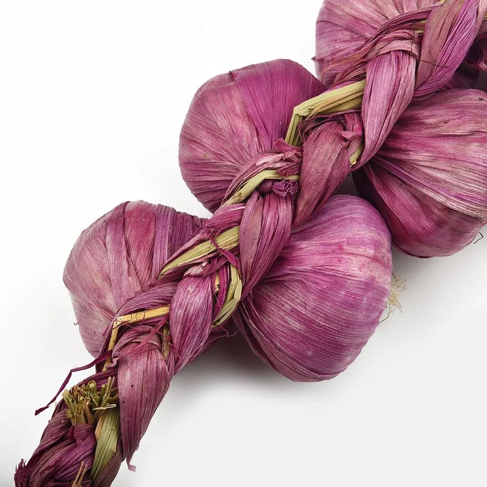 Food Hanging Vegetable Garlic Kitchen Office Onion Party Photography Plastic Props Simulation String Artificial Decor Fake