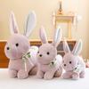 Новый мультфильм сопоставимый кролик кукла плюшевая игрушка кукла машина для ловли кукла милый маленький кролик детский подарок