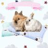 Jetec 2 Pieces Guinea Pig Bed Rabbit Bed Small Animal Hamster Warm Mats Winter Warm for Bunny Hamster Squirrel Hedgehog Chinchilla Small Animal