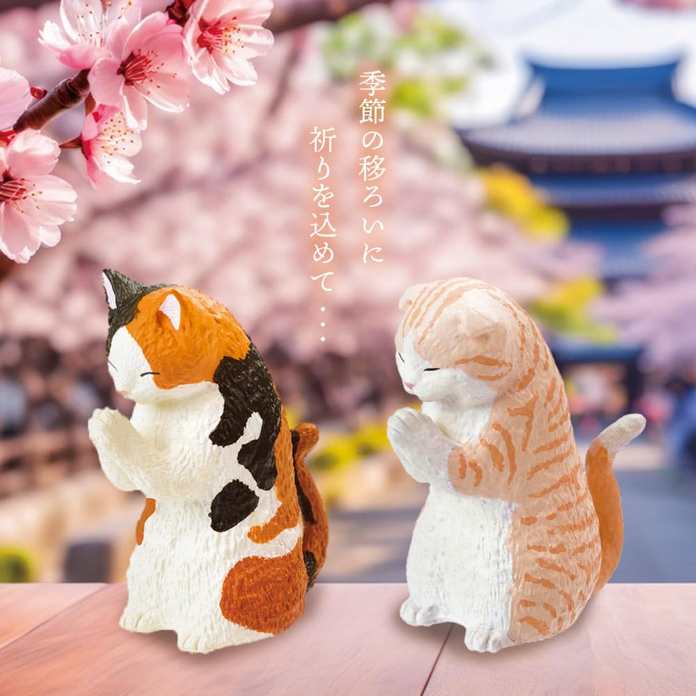 [Набор из 5 шт.] Гача Гачапон Полный набор Фигурка Игрушка Содержание Животное Кошка Милый [Гассё Такуми ~Поклонение кошкам~ Часть 2] Экзотический Манчкин Калико Шотландский