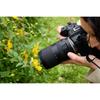 Tamron 18-300 мм F/3,5-6,3 Di III-A VC VXD Canon RF Mount [B061R] Черный
