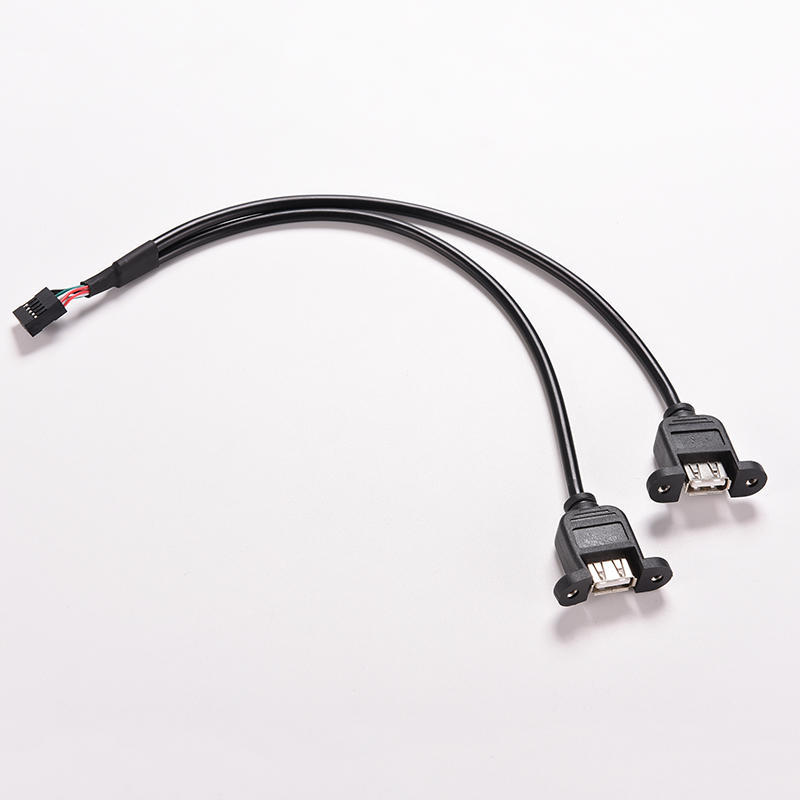 1 шт. черный 30 см/1 фут 2 порта USB A мама к внутреннему 9-контактному разъему кабеля-адаптера