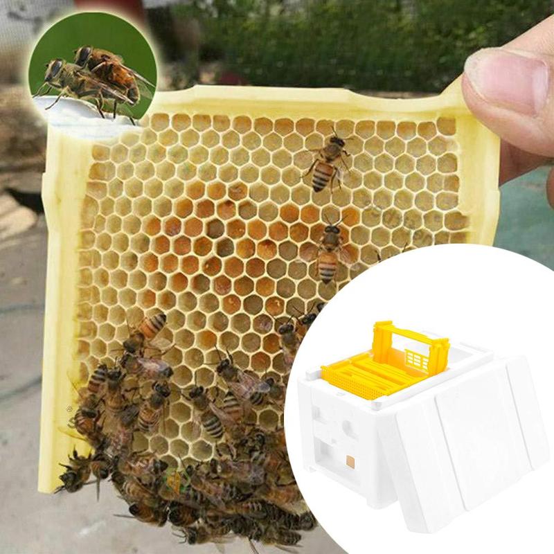 Пчеловодство King Box Пчеловодство Опыляющий ящик Пенопластовые рамки Комплект оборудования для пчеловодства Урожай пчелиный улей Ящик для сада