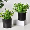 Plastic Planter Straight Black Indoor Balcony Planting Lazy Planter Flower Pot Plant Gardening Seedling Pot