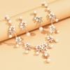 Shining Claw Chain Jewelry Set Exquisite Necklace Earrings Set Pearl Necklaces Earrings  Women