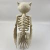 Украшение в виде скелета совы на Хэллоуин, реалистичная 12-дюймовая фигурка скелета животного, пластиковая модель кости совы для декора вечеринки в доме с привидениями