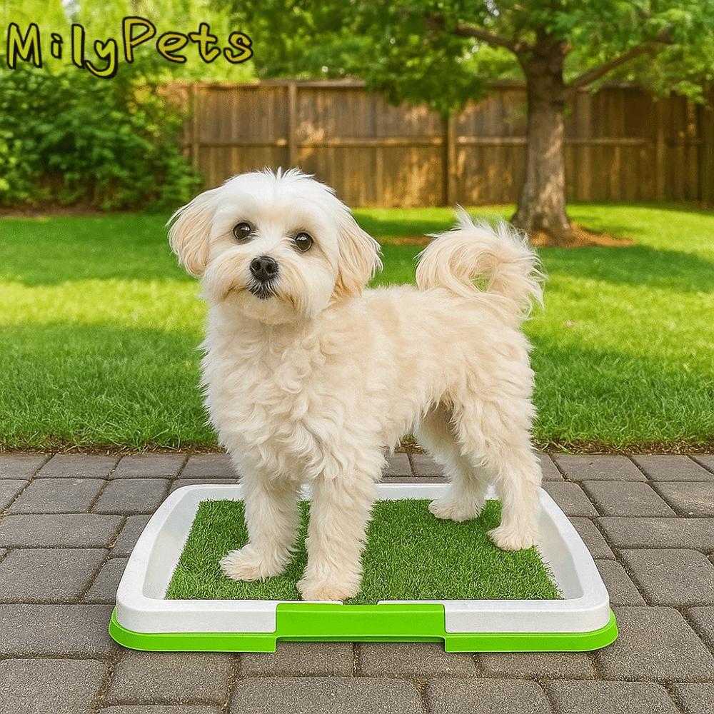 Removable Dog Potty Toilet Anti-Splash Non-slip Urinary Grass Mat Reusable Pads Pet Potty Training Puppy Training