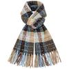 Soft Plaid Knitted Scarf Classic Women Thickened Scarf Gifts Long Tassel Neckscarf  Spring
