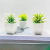 Искусственные суккуленты Маленькие горшечные растения для декора Искусственные цветы Зеленые растения и Искусственные растения