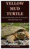 Книга Yellow Mud Turtle : Every Detailed Guide On How To Care for Your Yellow Mud Turtle As Pet