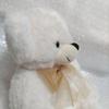 [USED] Cheeky Bear Teddy Bear White