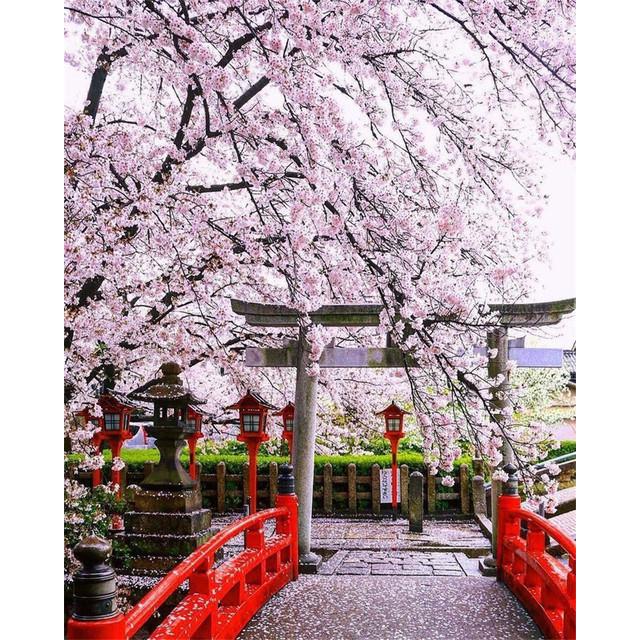 40x50 см краска по номерам розовое дерево пейзаж DIY картина по номерам вишни ручная роспись уникальный подарок домашний декор