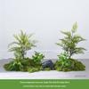 Bionic Fake Plants for Indoor Decoration: Living Room, Window Display, Under Stairs, Corner Arrangement.