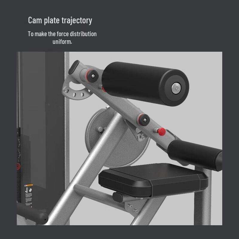 Jieruite J-2010 Seated Back Extension Trainer