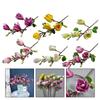 Attractive Magnolia Orchid Artificial Flower for Home and Office Decoration