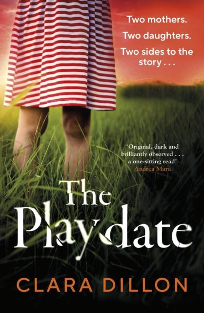 The The Playdate : A Startling and Deliciously Pitch-dark Story from Leafy Suburbia Book