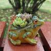 Breathable Frog Succulent Plant Pots Resin Plant Planter Durable Frog Flower Pot  Indoor