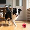 Treat Dispensing Ball Toy Interactive Puzzle Slow Feeder for Large Dogs Rubber Ball Dog Chew Toy for Aggressive Chewers