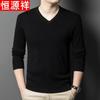 Men's 100% Pure Wool V-Neck Pullover Sweater