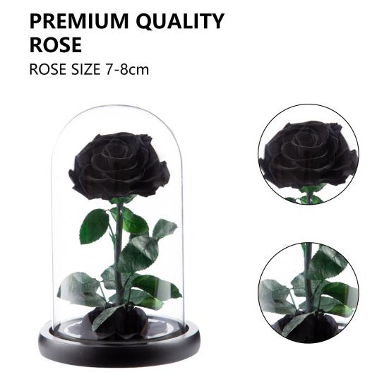 Нежная вечная роза в стеклянном куполе, романтическая невыцветающая одежда для взрослых, создающая атмосферу